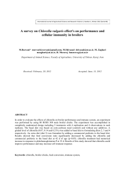 A survey on Chlorella vulgaris effect`s on performance and cellular