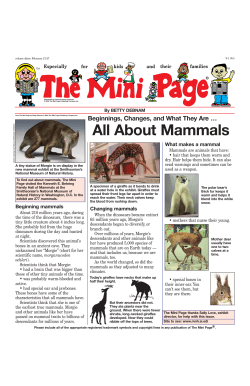 All About Mammals