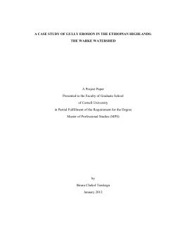 A CASE STUDY OF GULLY EROSION IN THE ETHIOPIAN