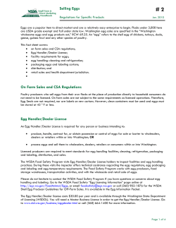 Selling Eggs - Shoreline Farmers Market