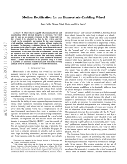 Motion Rectification for an Homeostasis