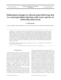 Pathological changes in African hyperoliid frogs due to a