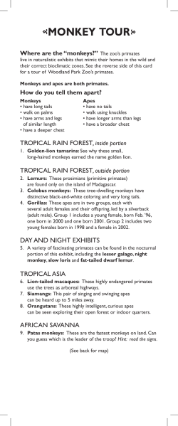 monkey tour - Woodland Park Zoo