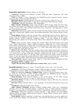 Kaokochloa nigrirostris De Winter. Bothalia, vii. 480