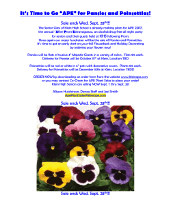 It`s Time to Go &ldquo;APE&rdquo; for Pansies and Poinsettias!