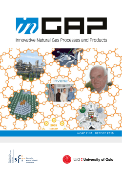 Final report - Norges forskningsr&aring;d