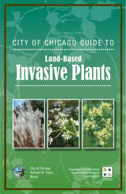Invasive Plants - City of Chicago