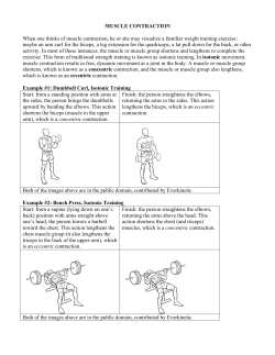 MUSCLE CONTRACTION When one thinks of muscle contraction