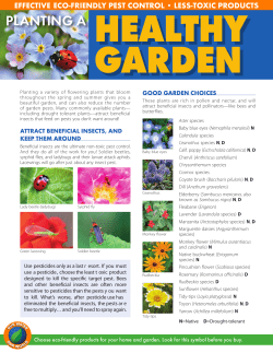 Growing a Healthy Garden