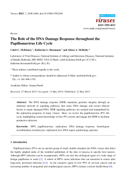The Role of the DNA Damage Response throughout the