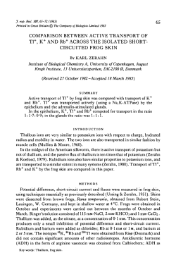 COMPARISON BETWEEN ACTIVE TRANSPORT OF Tl , K AND Rb