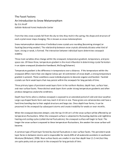 Snow Metamorphism Final - Gallatin National Forest Avalanche