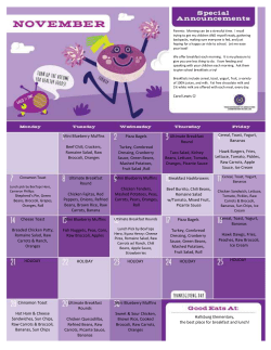 Mini Blueberry Muffins Beef Chili, Crackers, Romaine Salad, Raw