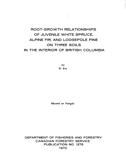 root-growth relationships of juvenile white spruce, alpine fir