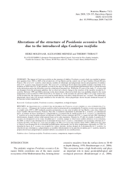 Alterations of the structure of Posidonia oceanica