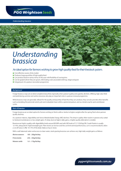 + Forage Focus