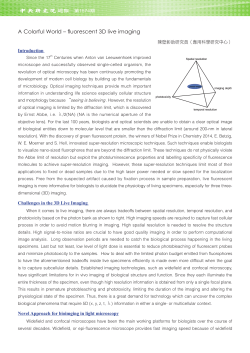 A Colorful World – fluorescent 3D live imaging