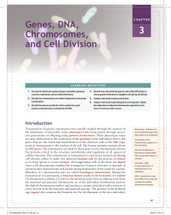 Genes, DNA, Chromosomes, and Cell Division 3