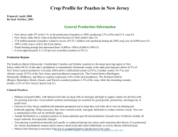 crop profile for peaches in new jersey