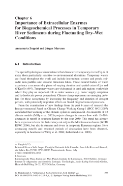 Importance of Extracellular Enzymes for Biogeochemical Processes