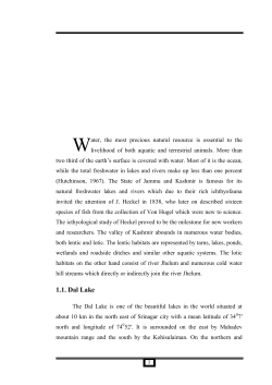 07_chapter 1