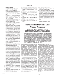 Nonavian Feathers in a Late Triassic Archosaur