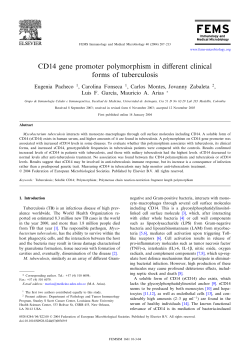 CD14 gene promoter polymorphism in different clinical forms of