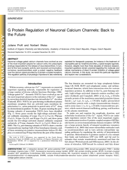 G Protein Regulation of Neuronal Calcium Channels