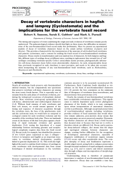 Decay of vertebrate characters in hagfish and lamprey