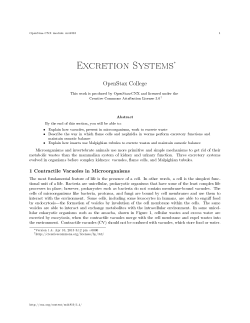 Excretion Systems