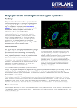 Studying cell fate and cellular organization during plant reproduction