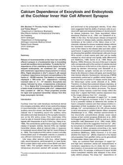 Calcium Dependence of Exocytosis and Endocytosis at the