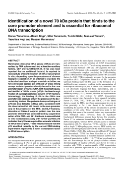 Identification of a novel 70 kDa protein that binds to the core