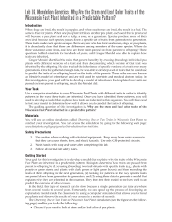 Lab 16. Mendelian Genetics: Why Are the Stem and Leaf Color