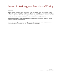 Hatchet descriptive paragraph