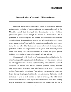 Domestication of Animals: Different Issues