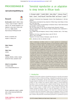 read here - H. Christoph Liedtke