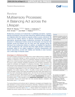 Multisensory Processes: A Balancing Act across the