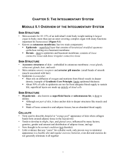 CHAPTER 5: THE INTEGUMENTARY SYSTEM MODULE 5.1