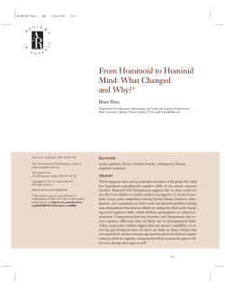 From Hominoid to Hominid Mind: What Changed and Why?