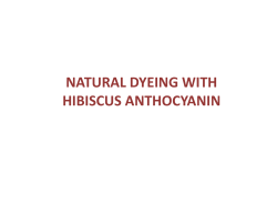natural dyeing with hibiscus anthocyanin