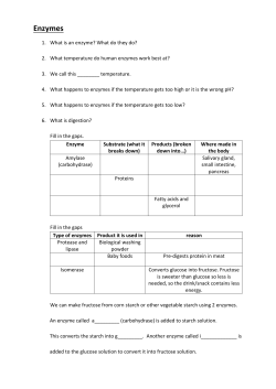 Enzymes - Ecclesfield School