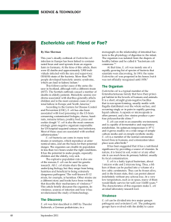 Escherichia coli: Friend or Foe?
