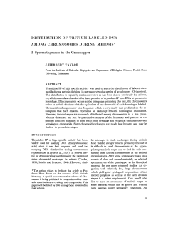 DISTRIBUTION OF TRITIUM-LABELED DNA