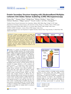Protein Secondary Structure Imaging with Ultrabroadband Multiplex