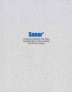 Sonar. An effective herbicide that poses negligible risk