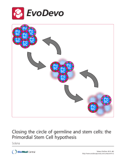 the Primordial Stem Cell hypothesis