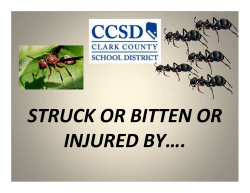 struck or bitten or injured by&hellip;.