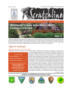 Difficult Challeng   Wildland Urban Interface (WUI)