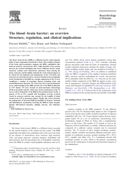 The blood&ndash;brain barrier